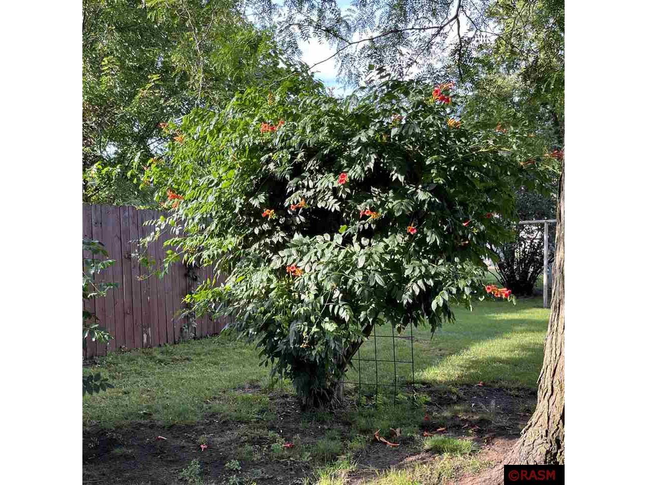 1308 S Franklin Street New Ulm MN 56073 7038452 image3