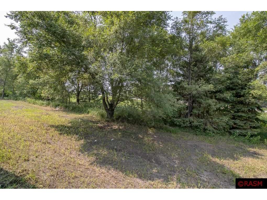 1342 Birchwood Drive New Ulm MN 56073 7038310 image38