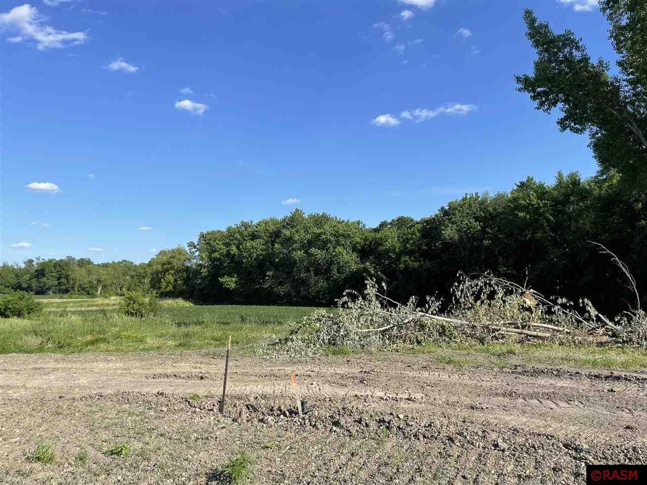 1840 Indigo Trail Mankato MN 56001 7027262 image3