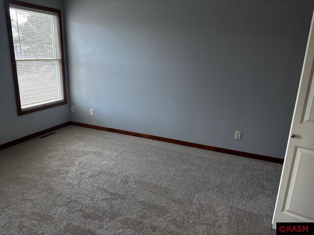 1850 Macintosh Court Saint Peter MN 56082 7038257 image18