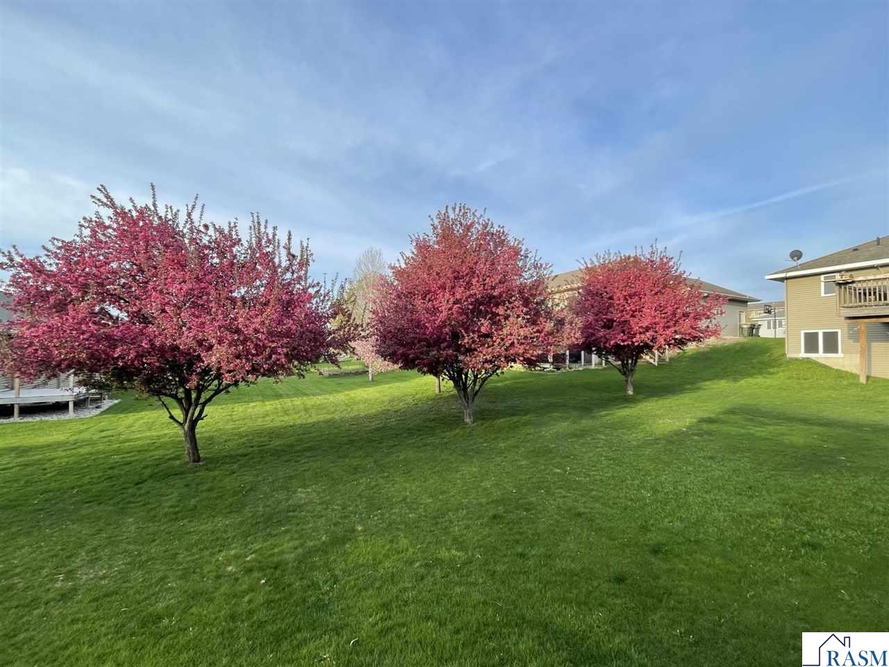 1924 Rock Ridge Lane Saint Peter MN 56082 7040312 image37