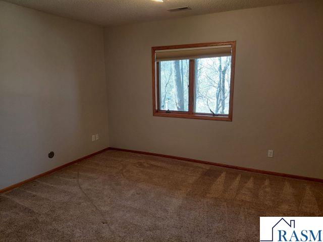 204 Parkway Place Mankato MN 56001 7040025 image18