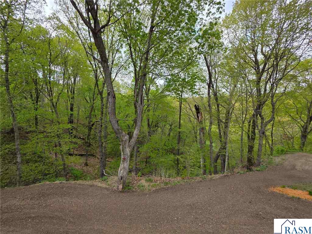 20606 Hilltop Lane Belle Plaine MN 56011 7040204 image12