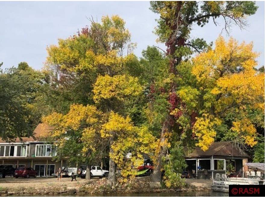 22359 LAKE VIEW Road Madison Lake MN 56063 - Madison 7031622 image1