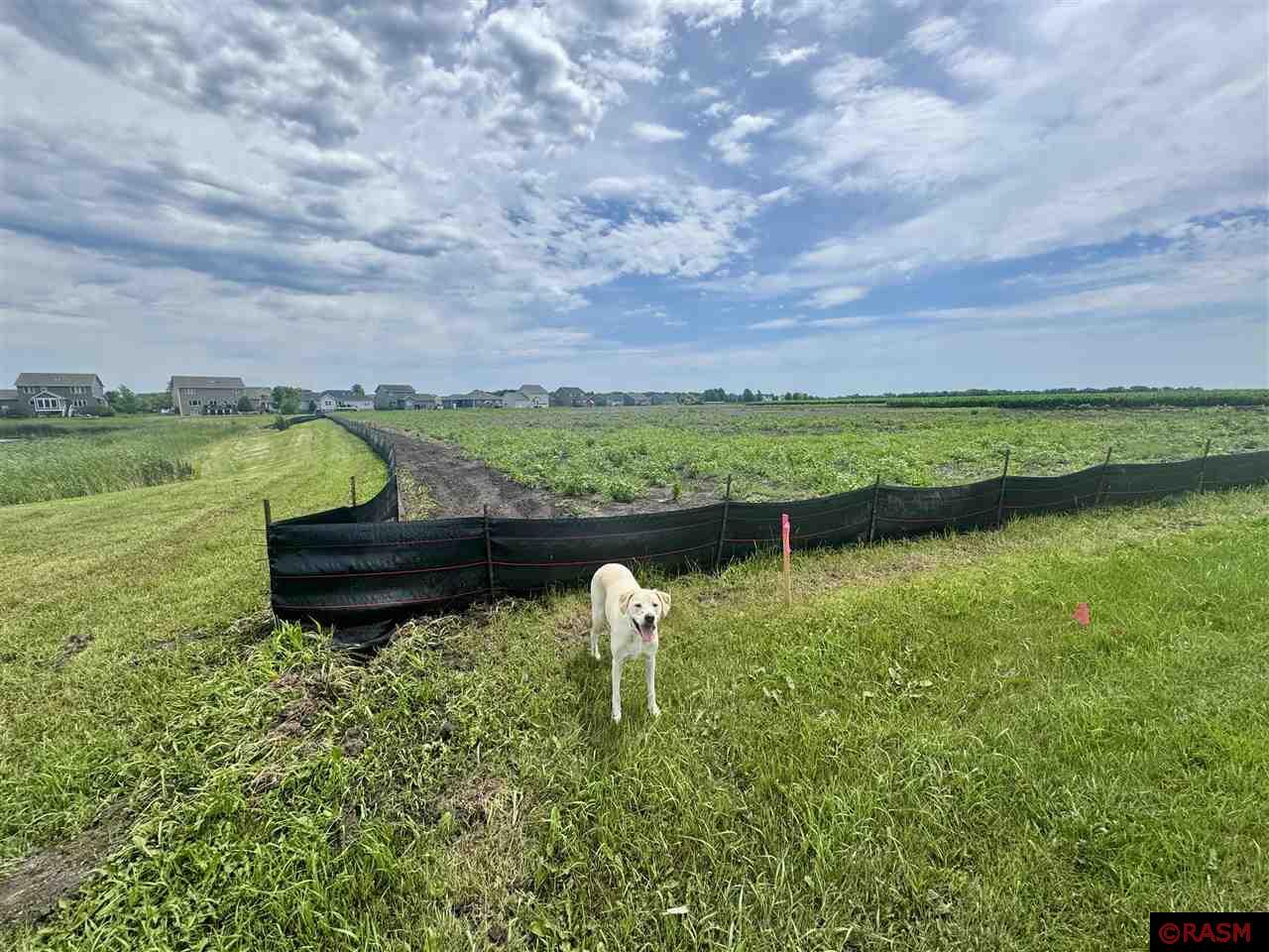 2399 Aspen Lane North Mankato MN 56003 7037918 image5