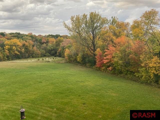 24352 474 Lane Elysian MN 56028 - Big Jefferson 7038365 image4