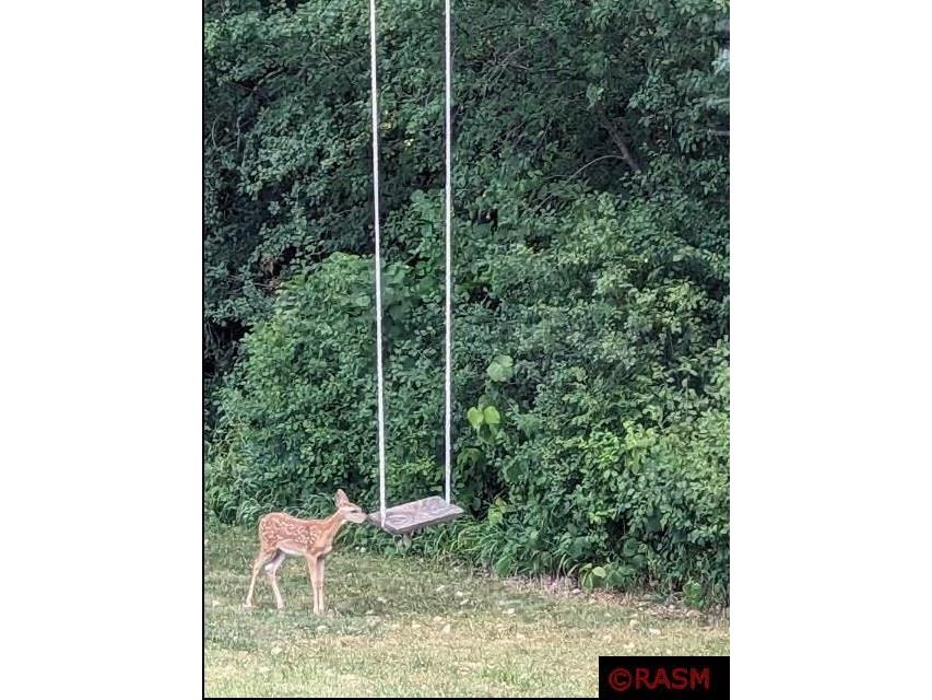 24352 474 Lane Elysian MN 56028 - Big Jefferson 7038365 image45