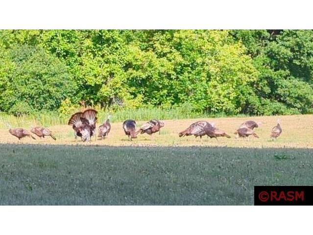 24352 474 Lane Elysian MN 56028 - Big Jefferson 7038365 image46