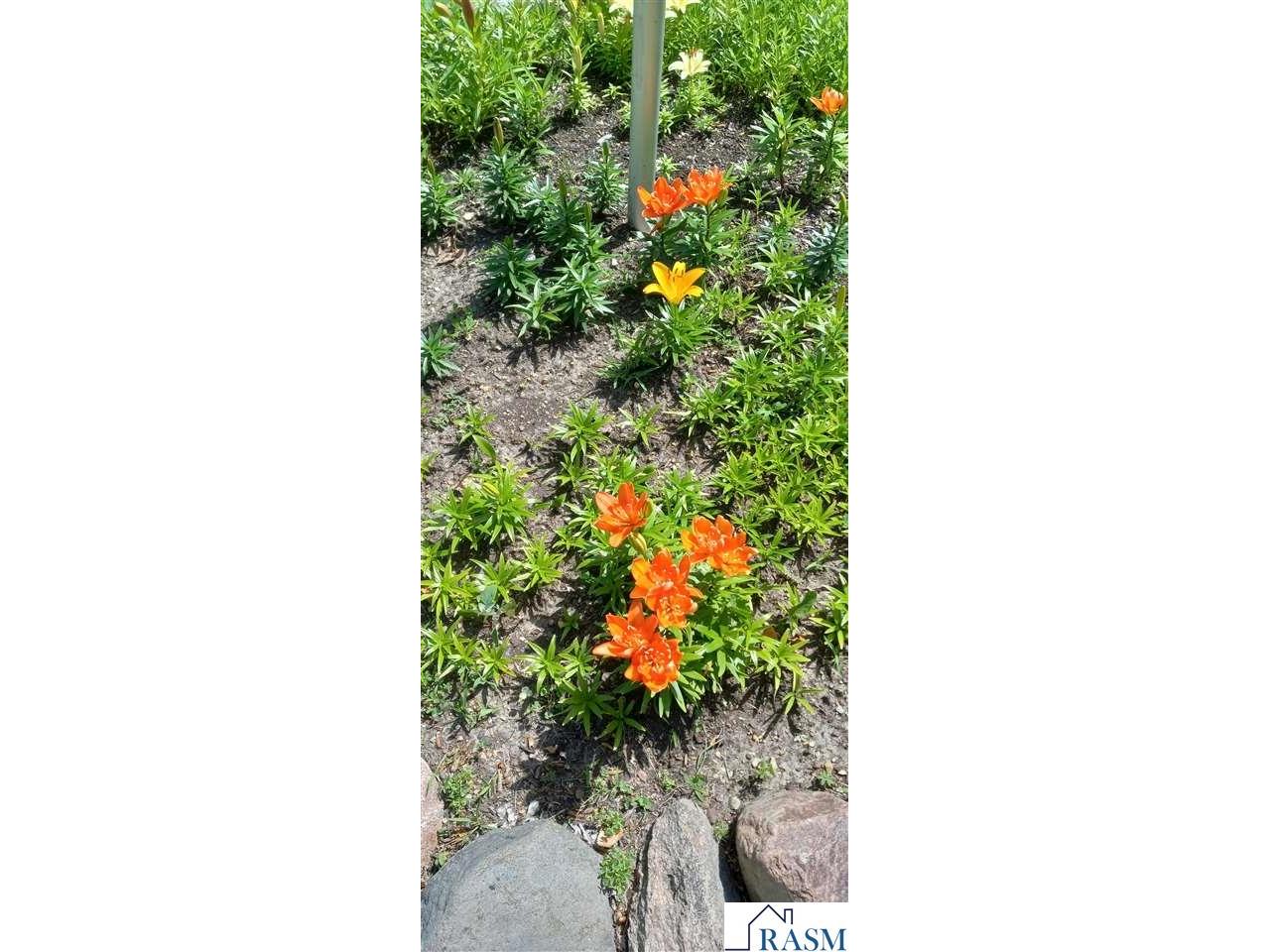 28081 470th Street Madison Lake MN 56063 - West Jefferson 7040284 image32