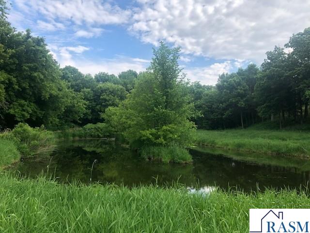 28612 Hub Drive Madison Lake MN 56063 - West Jefferson 7039786 image31