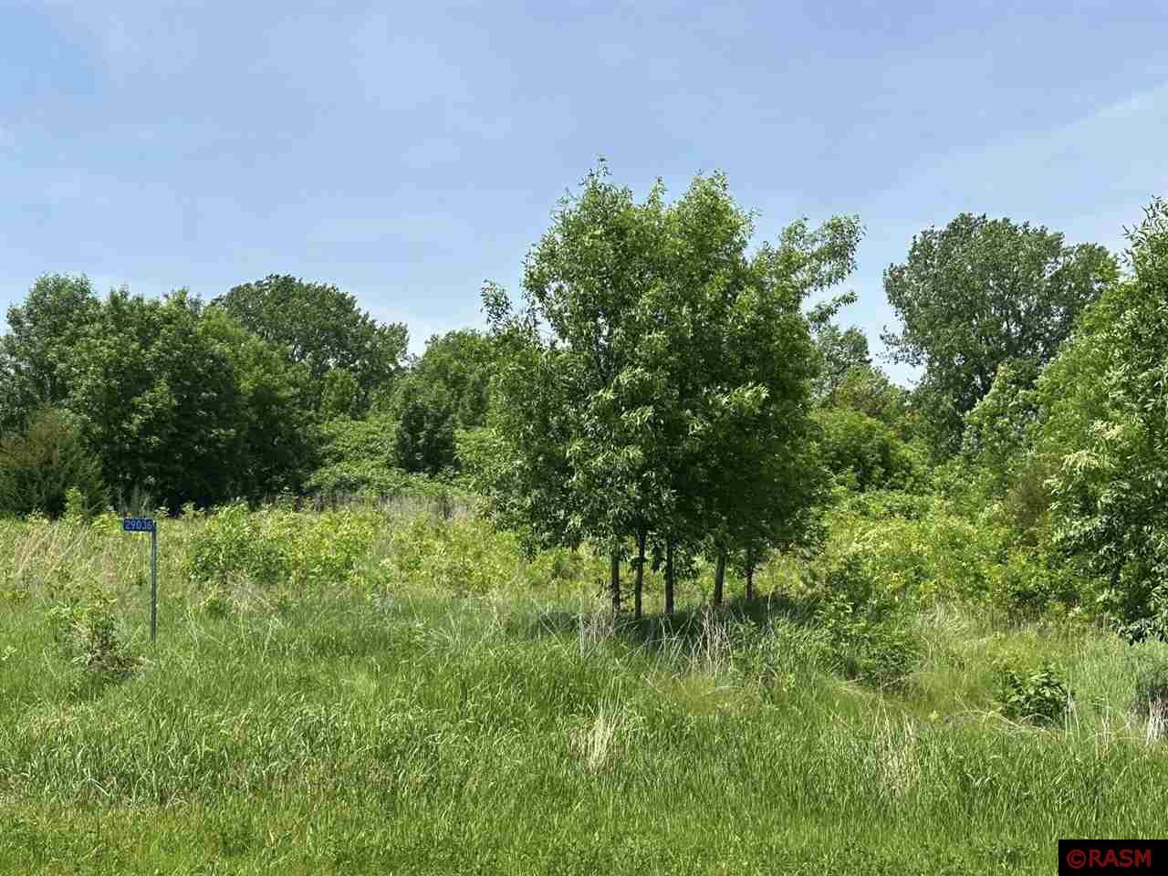 29036 Biehn Drive Madison Lake MN 56063 - Washington 7037673 image1