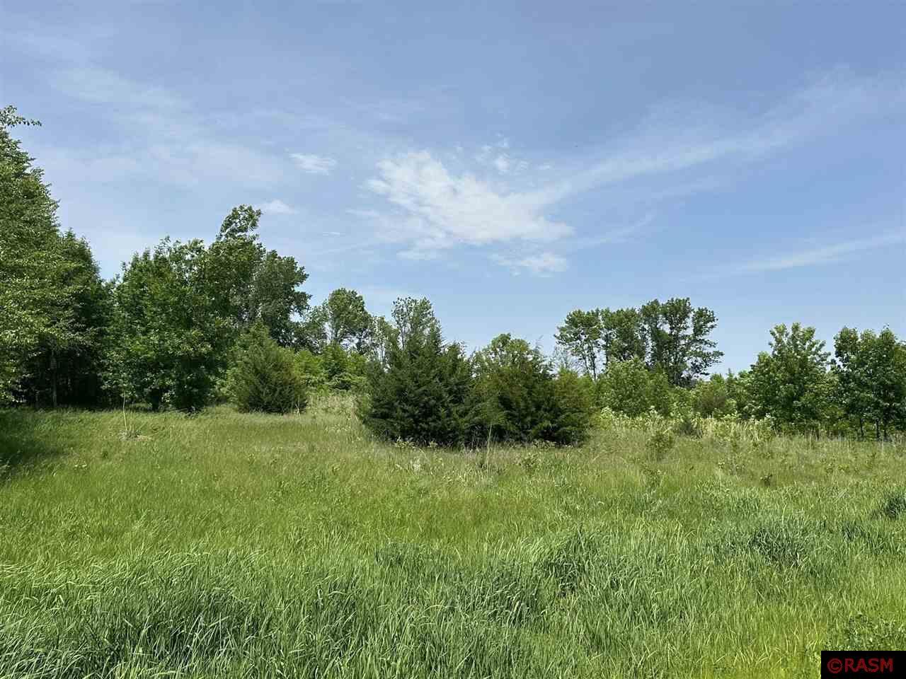 29036 Biehn Drive Madison Lake MN 56063 - Washington 7037673 image2