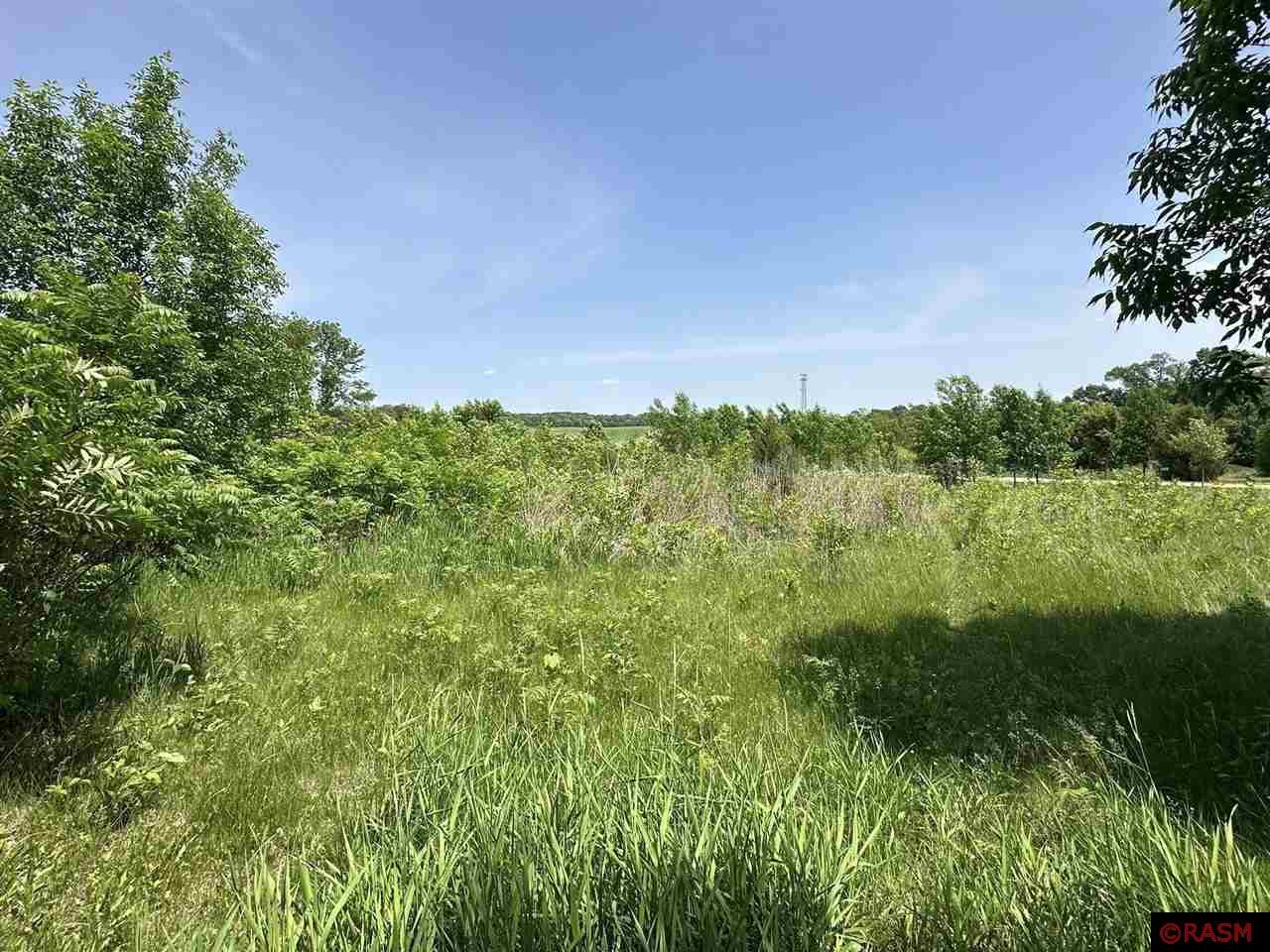 29036 Biehn Drive Madison Lake MN 56063 - Washington 7037673 image5