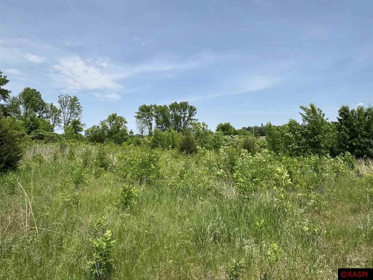 29036 Biehn Drive Madison Lake MN 56063 - Washington 7037673 image6