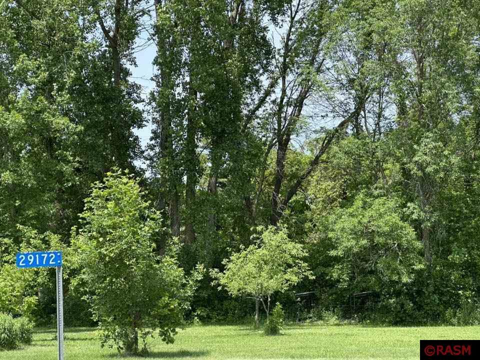 29172 Biehn Drive Madison Lake MN 56063 - Washington 7037672 image1