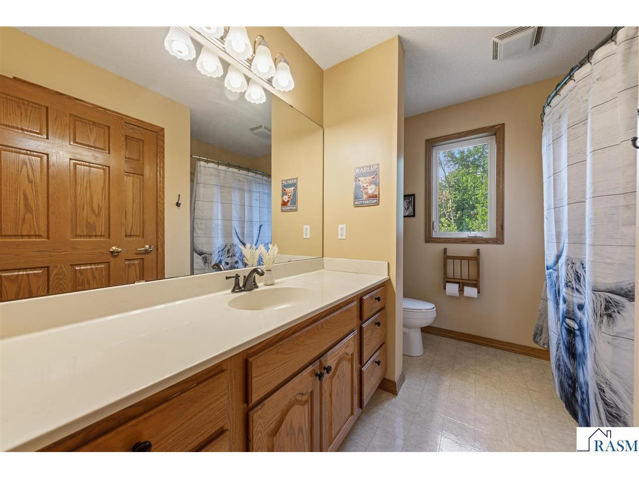29742 400th Street Le Sueur MN 56058 267040741 image24