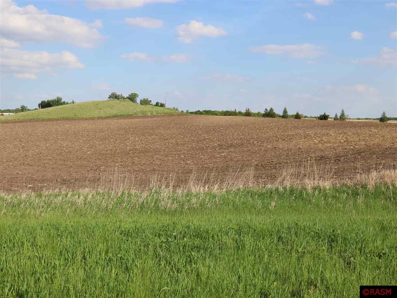 29951 Prairie Sage Lane Le Sueur MN 56058 7017838 image1