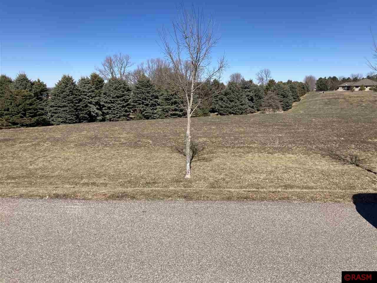 303 Krason Drive Madison Lake MN 56063 7032967 image3