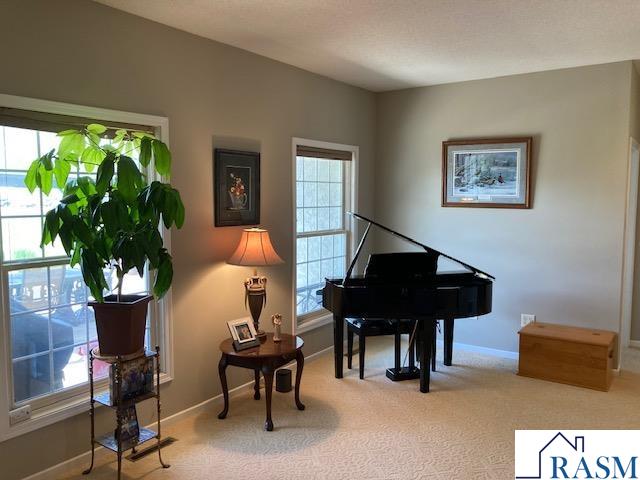 305 Brackenridge Street SW Sleepy Eye MN 56086 7040428 image20