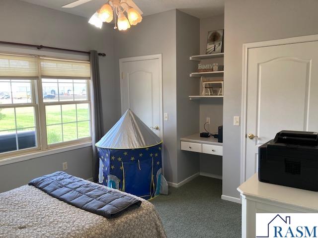 305 Brackenridge Street SW Sleepy Eye MN 56086 7040428 image22