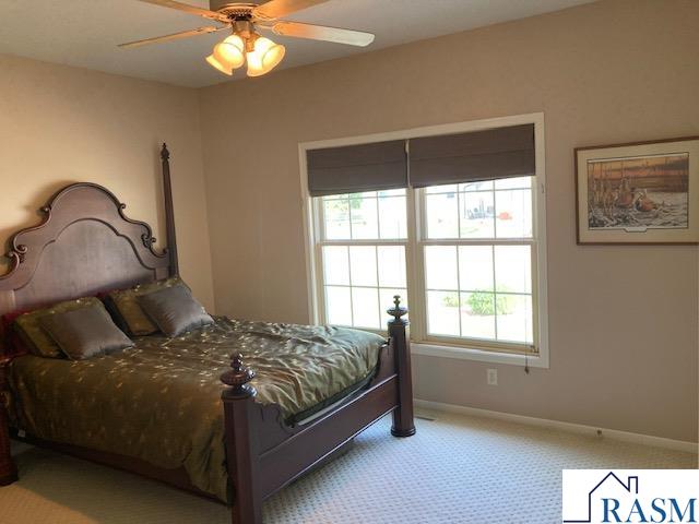 305 Brackenridge Street SW Sleepy Eye MN 56086 7040428 image25