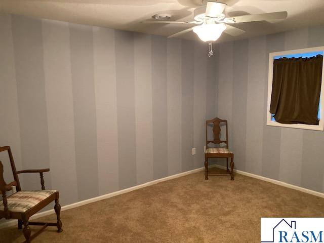 305 Brackenridge Street SW Sleepy Eye MN 56086 7040428 image44