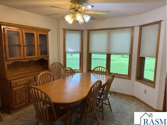 33850 98th Street Waseca MN 56093 267040817 image10