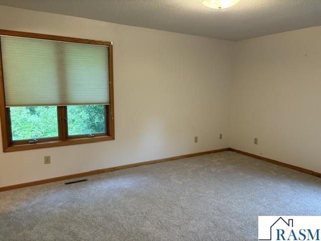 33850 98th Street Waseca MN 56093 267040817 image14