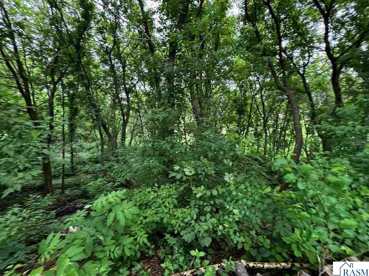 35086 Primerose Lane Kasota MN 56050 267040506 image10