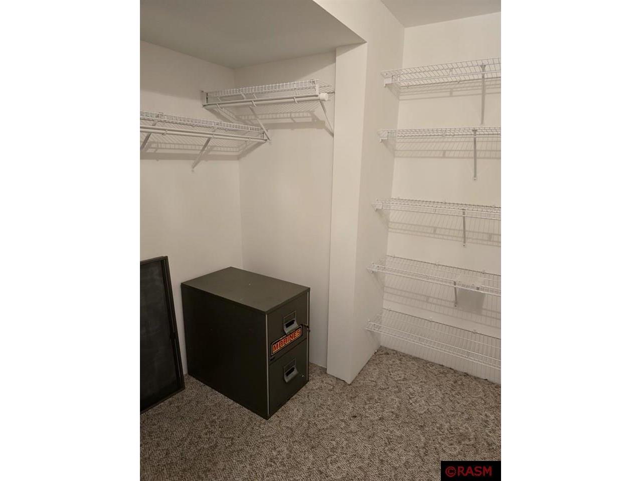 35996 391st Ave Le Sueur MN 56058 7035179 image31