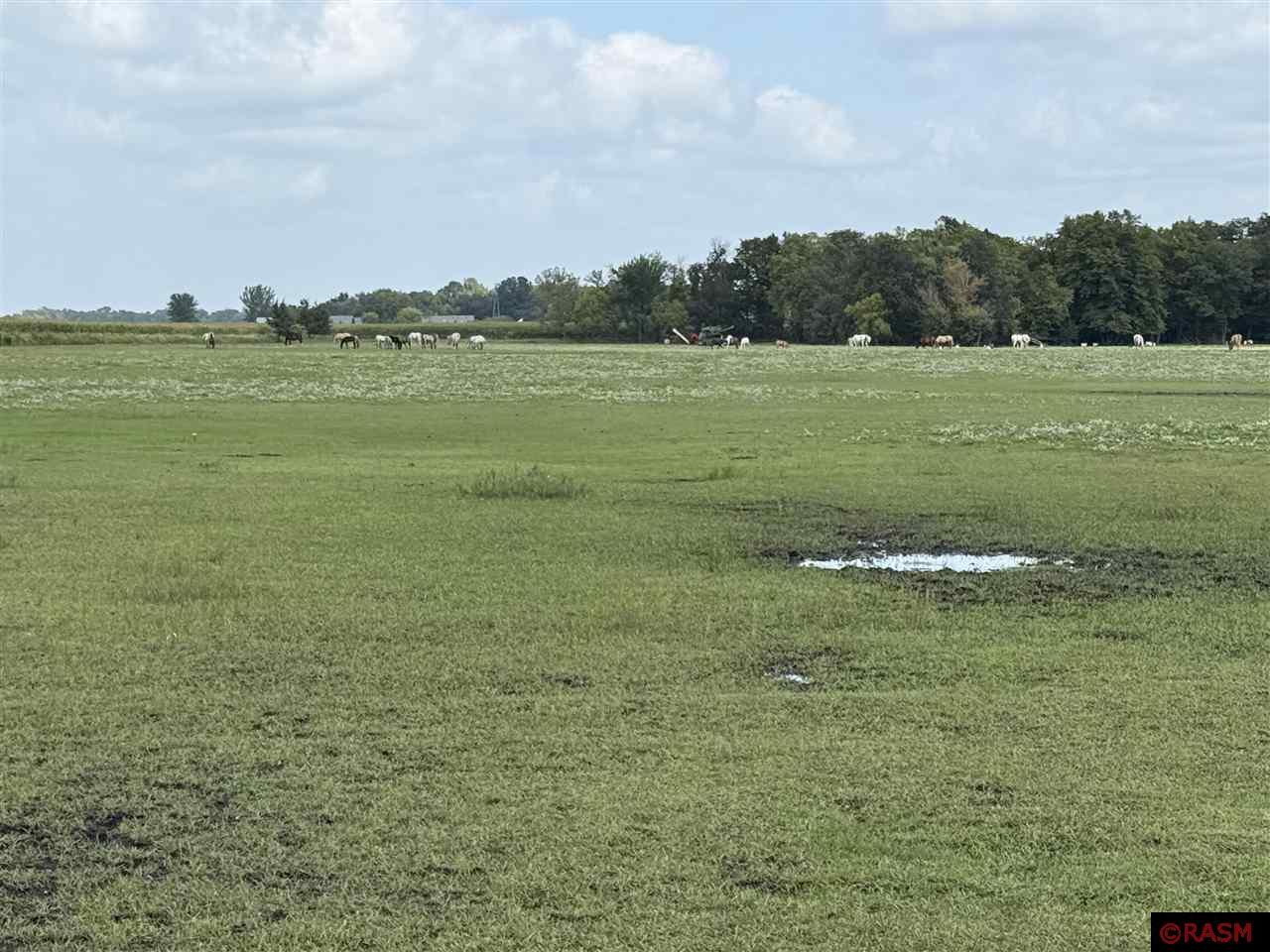 38388 512th Street North Mankato MN 56003 7038503 image1