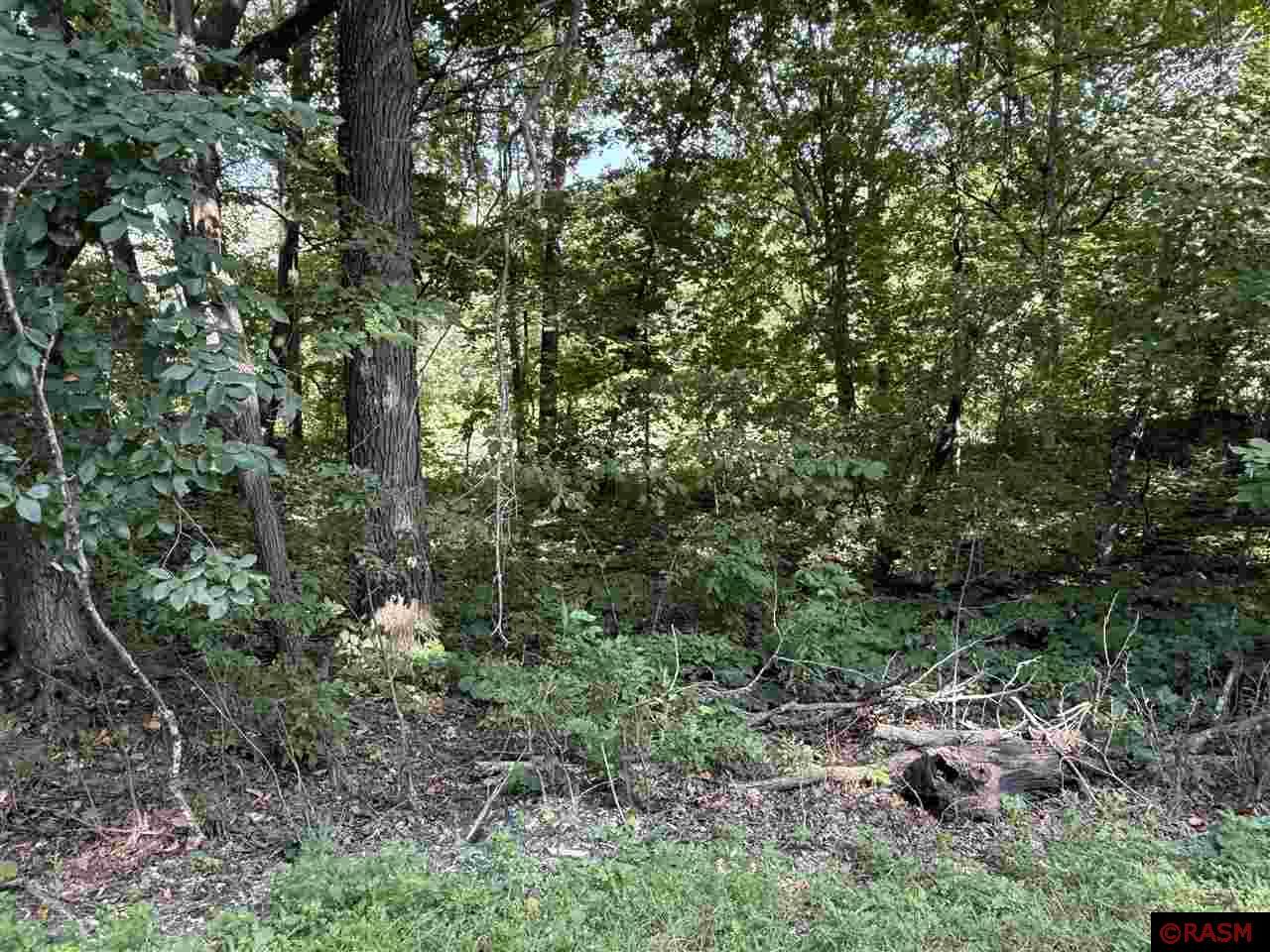 38388 512th Street North Mankato MN 56003 7038503 image10