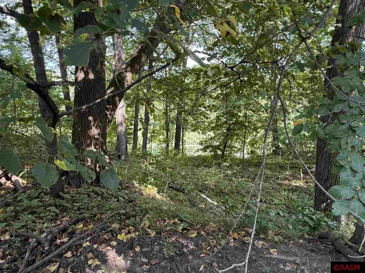 38388 512th Street North Mankato MN 56003 7038503 image11