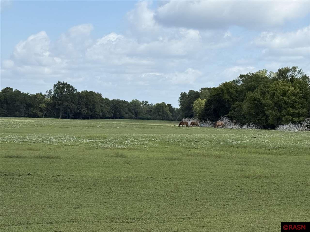 38388 512th Street North Mankato MN 56003 7038503 image2