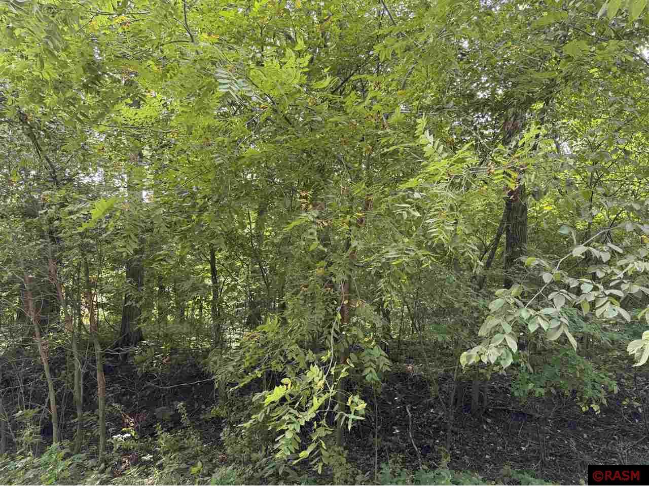 38388 512th Street North Mankato MN 56003 7038503 image7