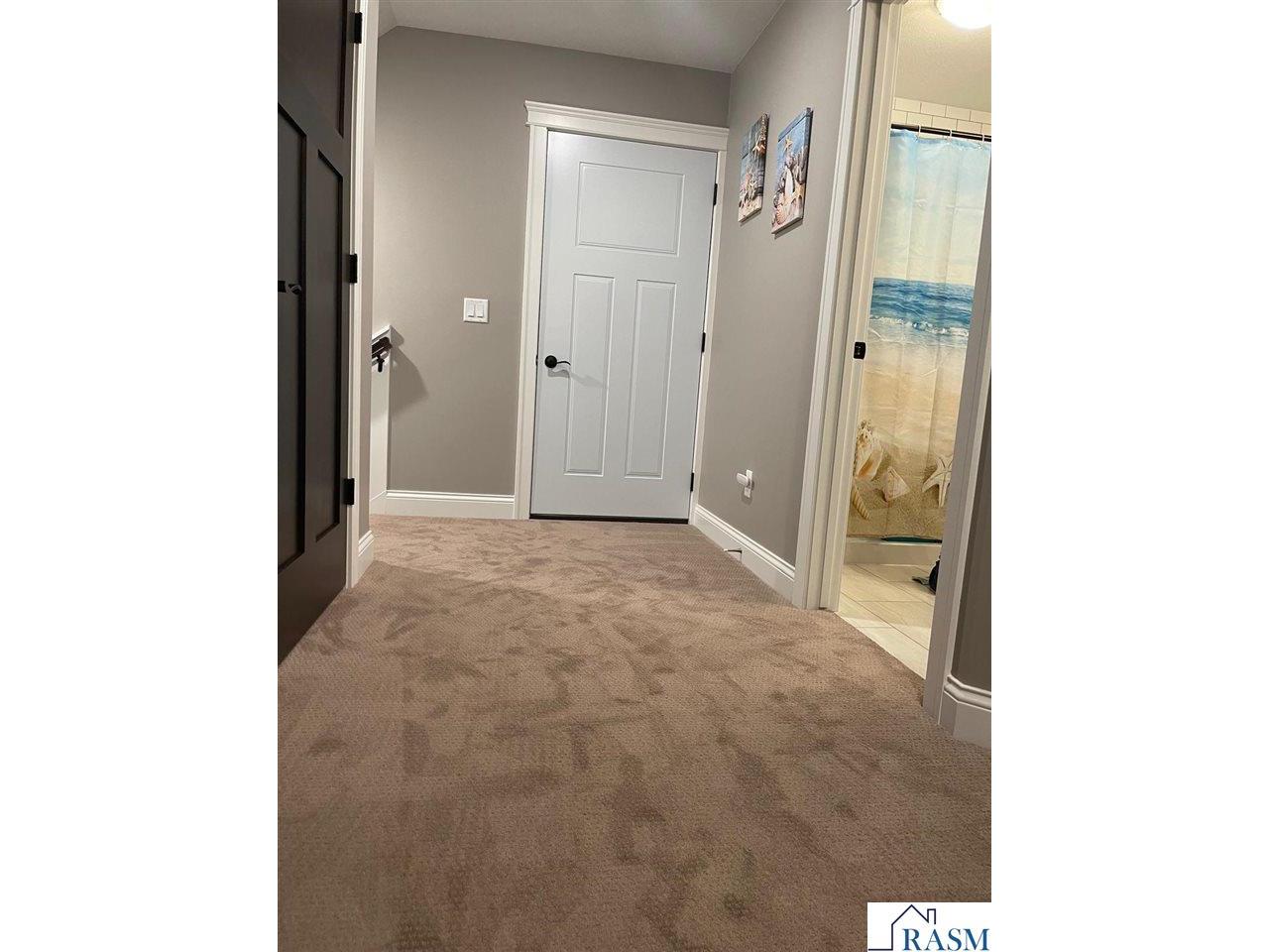 408 Fontaine Trail Mankato MN 56001 267040477 image33