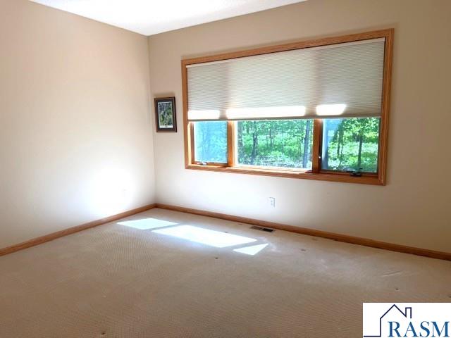 421 Diamond Creek Road Mankato MN 56001 7040251 image22