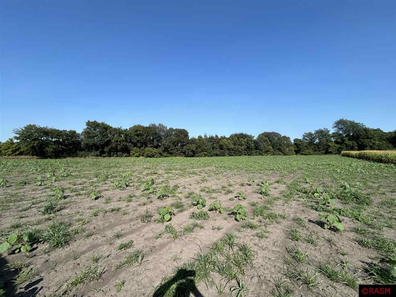 42191 371st Saint Peter MN 56082 7035881 image1