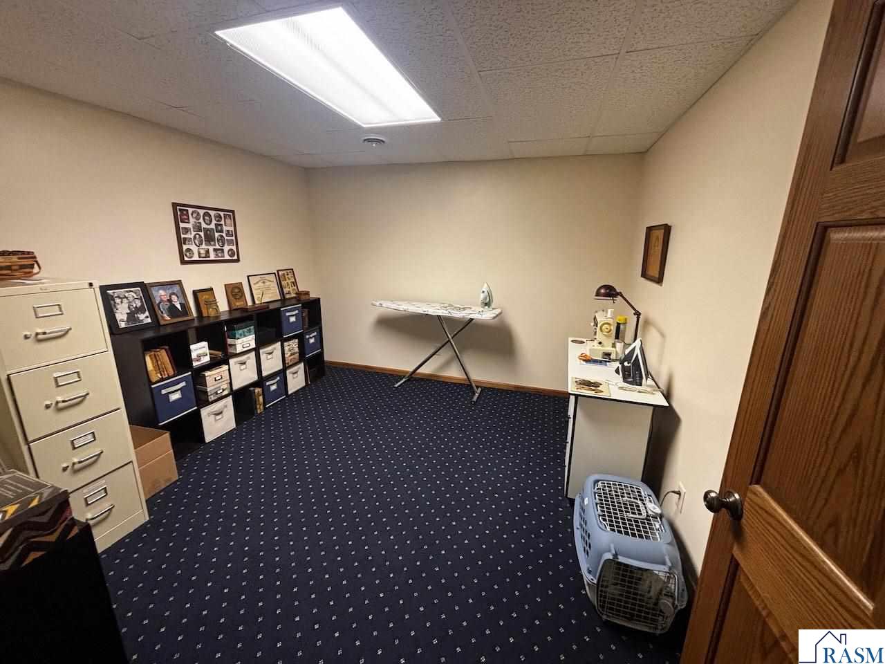 44137 Willow Road Saint Peter MN 56082 267040588 image33