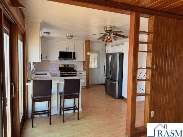 46027 BEAVER DAM Road Cleveland MN 56017 - German Lake 7039974 image8