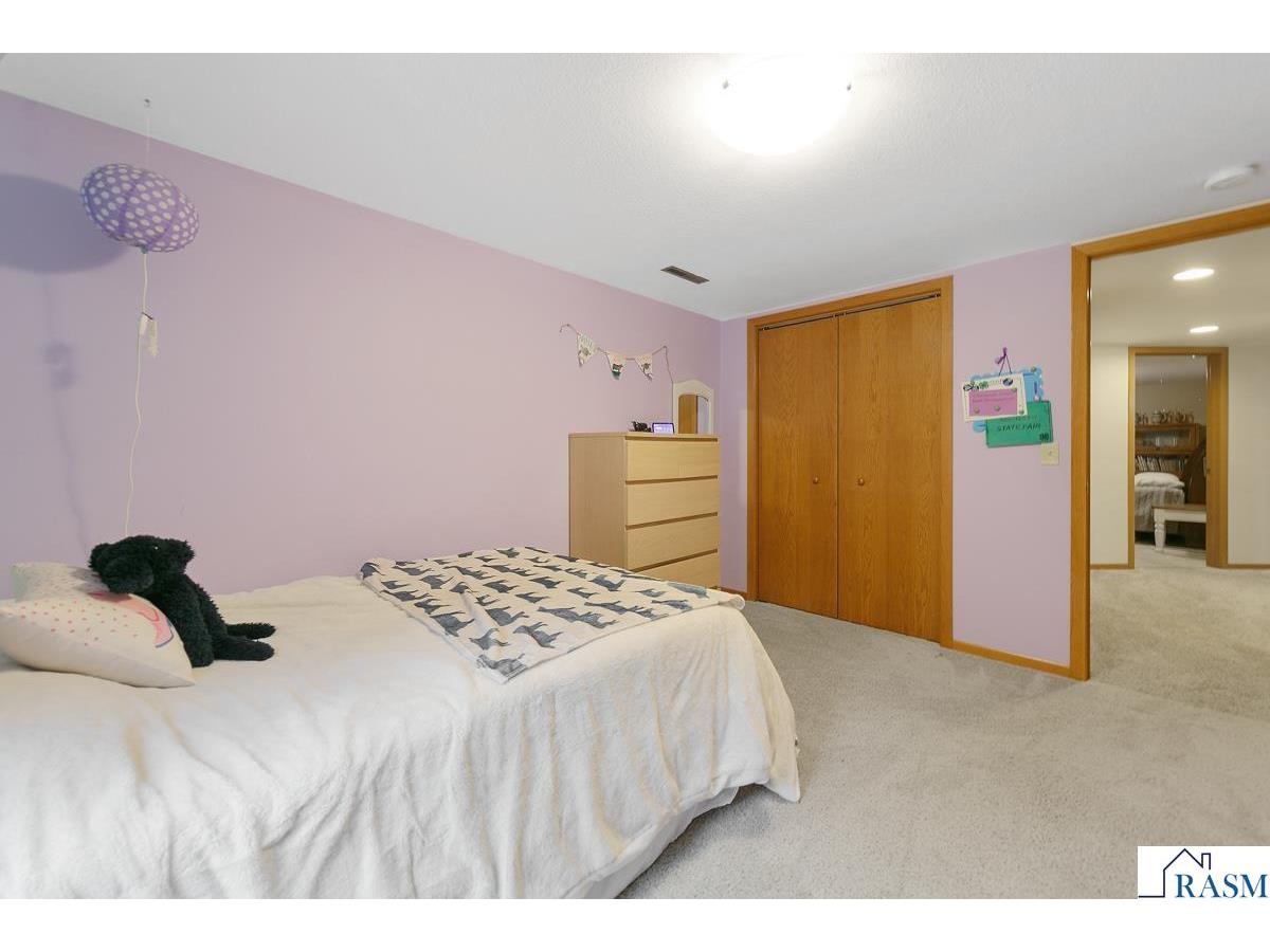 48135 Red Iron Road Kasota MN 56050 7039497 image20