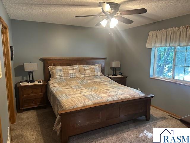 502 N Minnesota Avenue Saint Peter MN 56082 267040975 image11