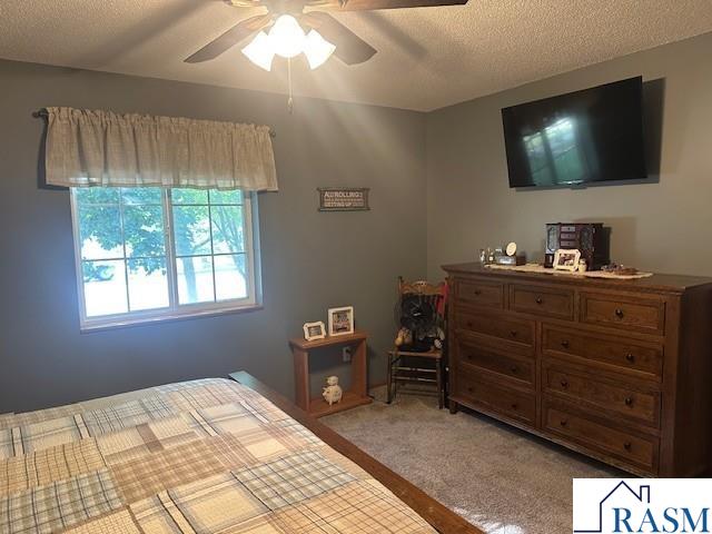 502 N Minnesota Avenue Saint Peter MN 56082 267040975 image12