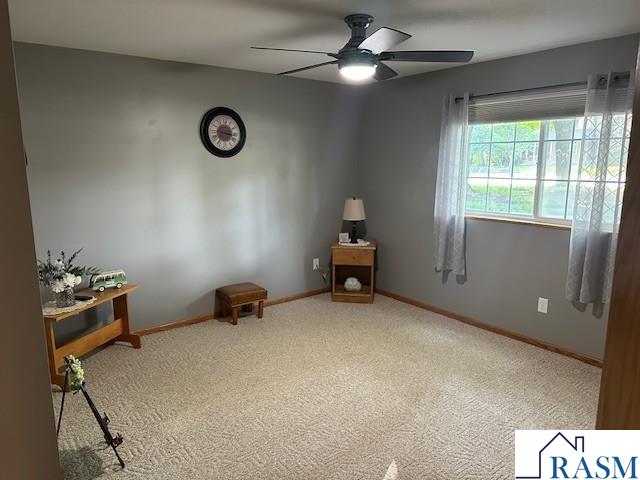 502 N Minnesota Avenue Saint Peter MN 56082 267040975 image19