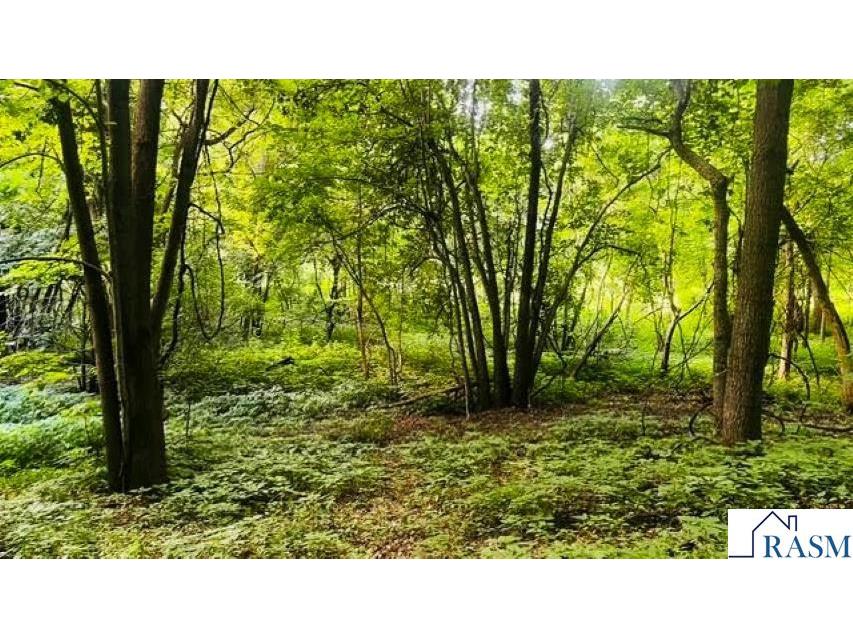 55799 Ivy Rd Good Thunder MN 56037 - Maple Lake 267040991 image13