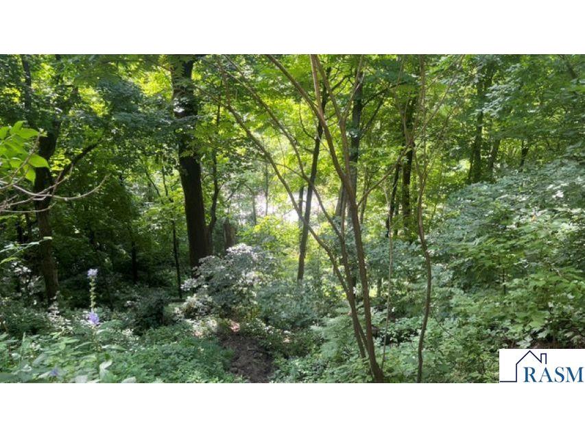 55799 Ivy Rd Good Thunder MN 56037 - Maple Lake 267040991 image18