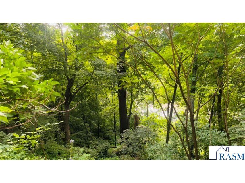 55799 Ivy Rd Good Thunder MN 56037 - Maple Lake 267040991 image21