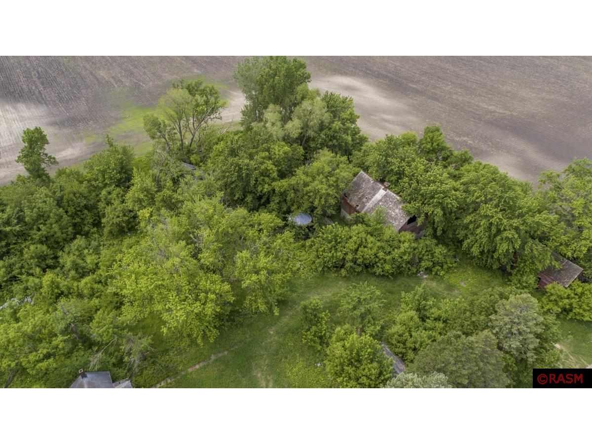 55997 132nd Street Mapleton MN 56065 7038034 image3