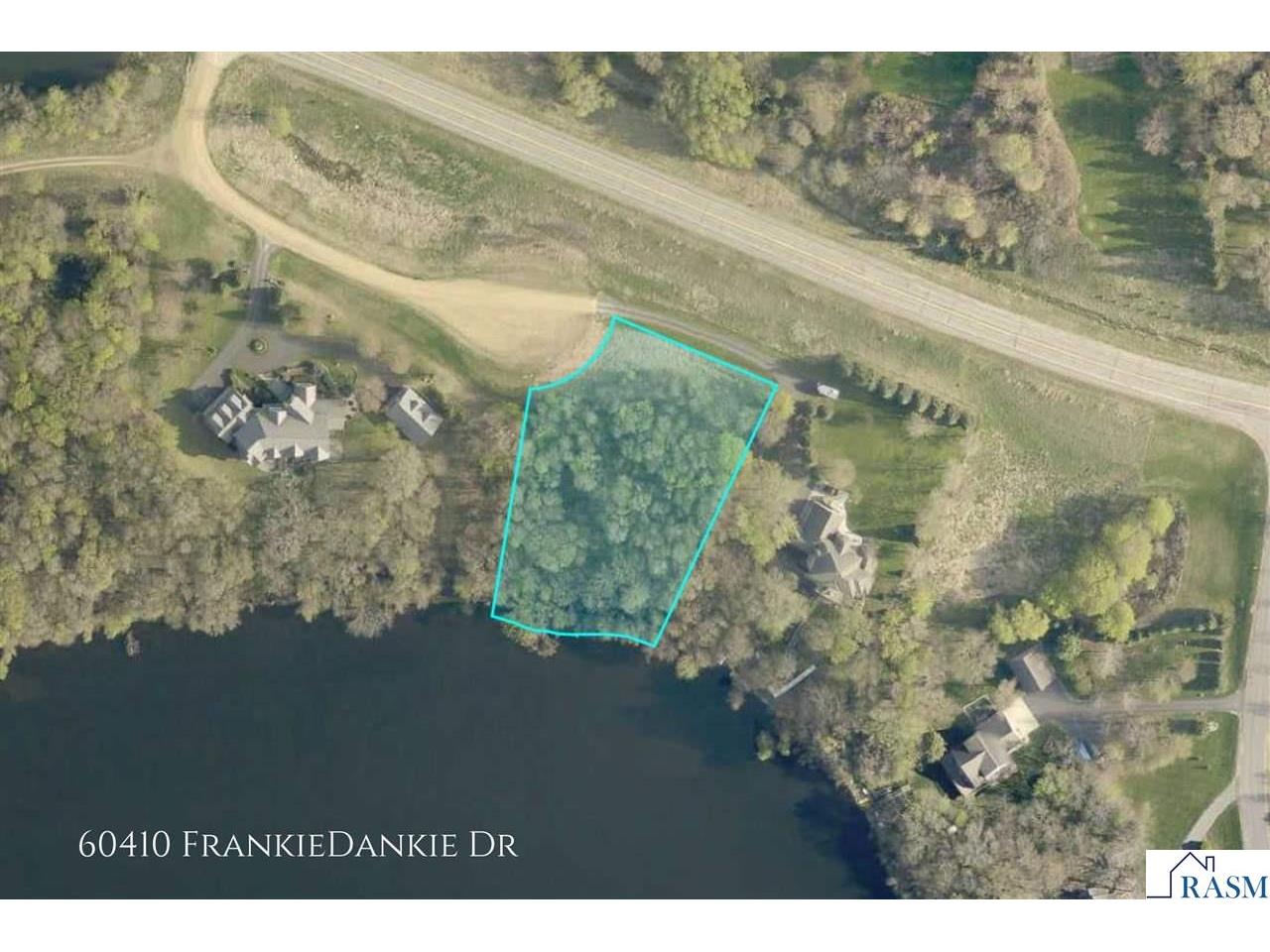 60410 Frankiedankie Drive Madison Lake MN 56063 - George Lake 7035776 image1