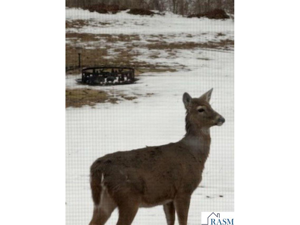 61480 154th Lane Mapleton MN 56065 7039674 image33